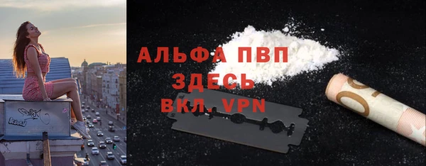 ПСИЛОЦИБИНОВЫЕ ГРИБЫ Верея