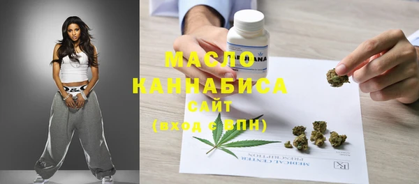гидра Богданович