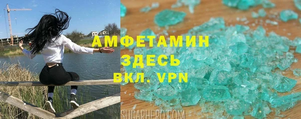ПСИЛОЦИБИНОВЫЕ ГРИБЫ Верея