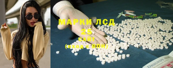 ПСИЛОЦИБИНОВЫЕ ГРИБЫ Верея