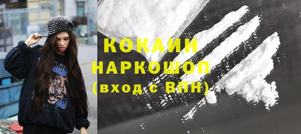 ПСИЛОЦИБИНОВЫЕ ГРИБЫ Верея