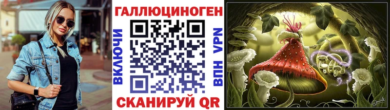 купить  сайты  Гагарин  Галлюциногенные грибы Psilocybine cubensis 