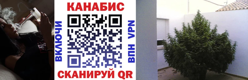 Конопля планчик  Гагарин 